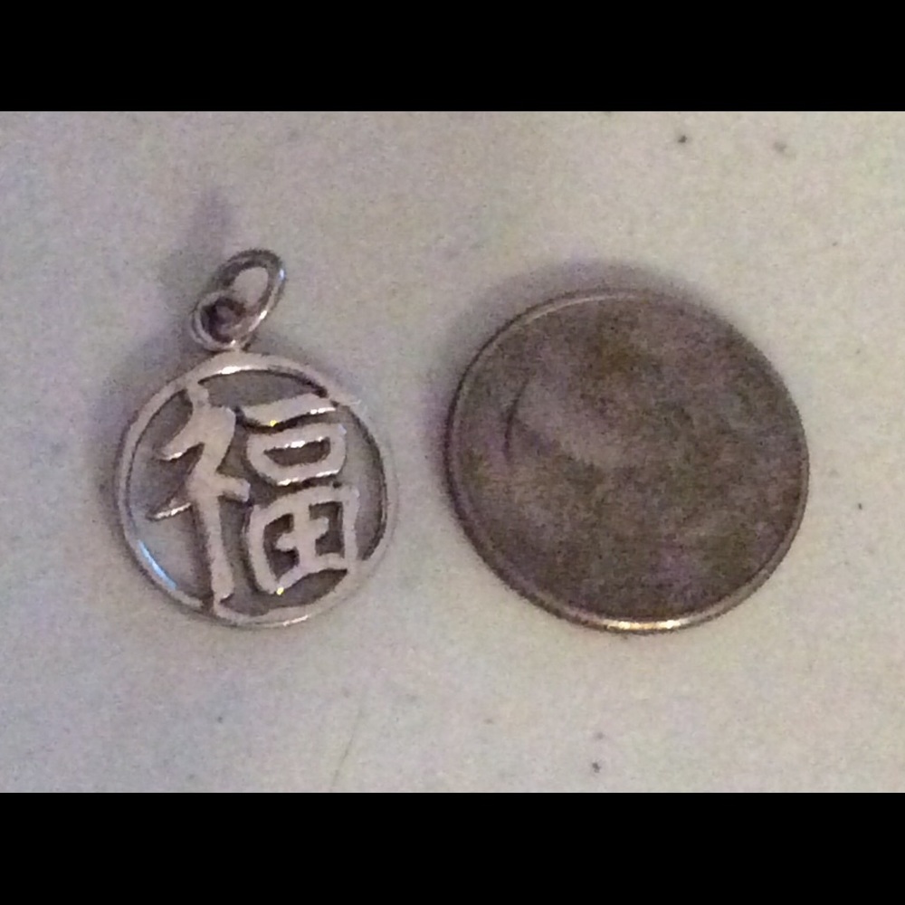 Silver Asian Circle Charm